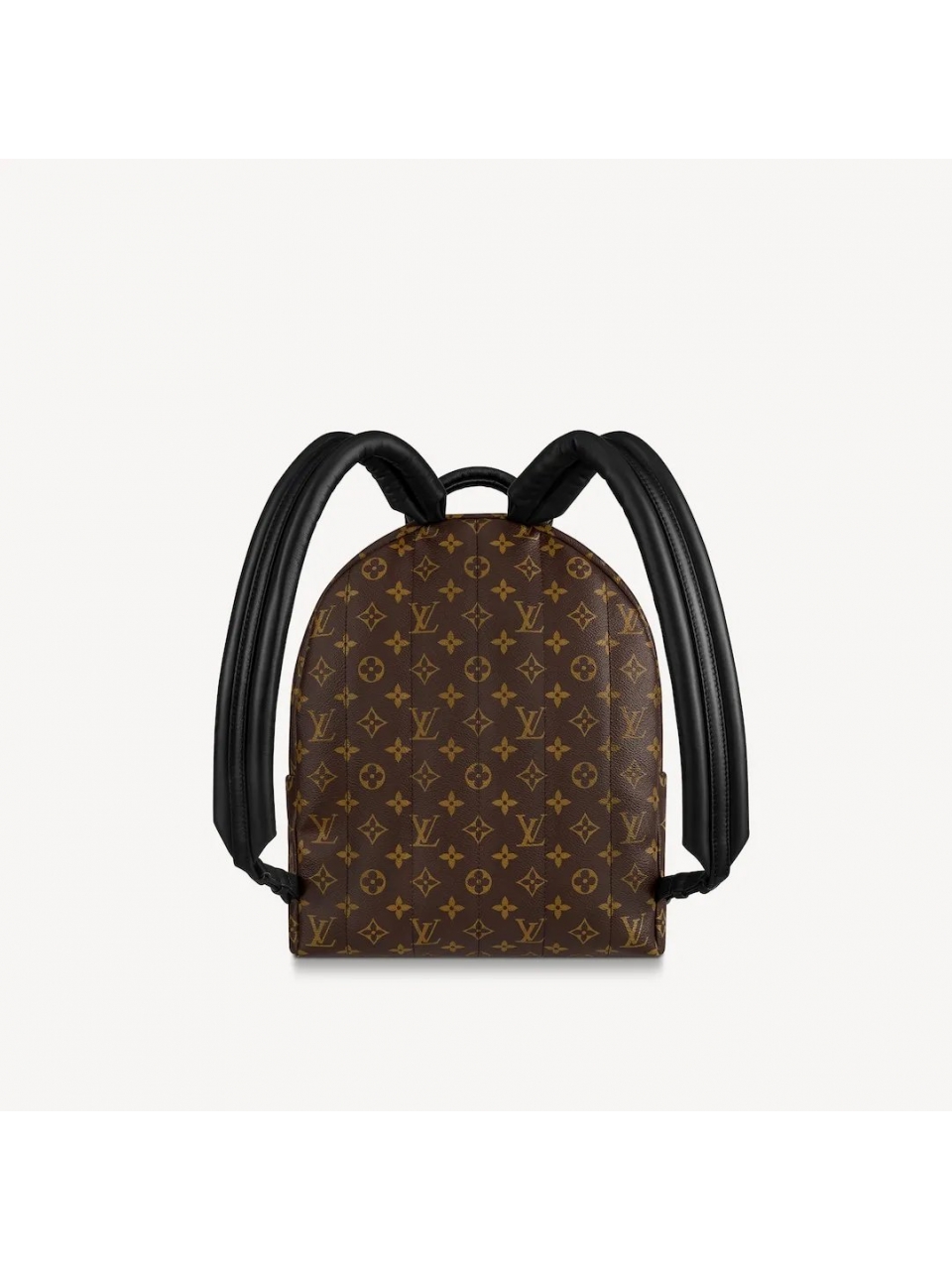 Рюкзак Louis Vuitton Palm Springs MM